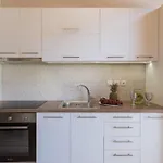Olive Zen Villa Zakynthos
