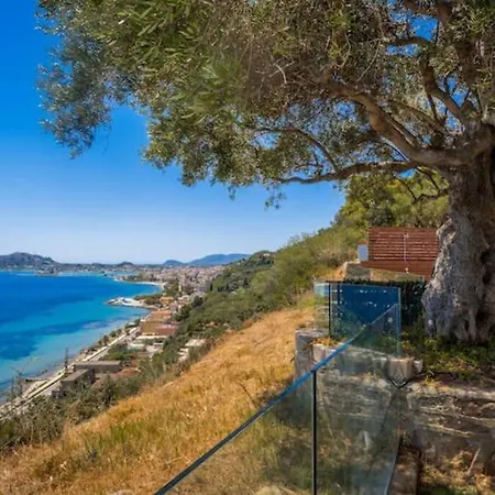Olive Zen Villa