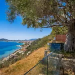 Olive Zen Villa