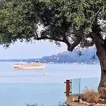 Villa Olive Zen